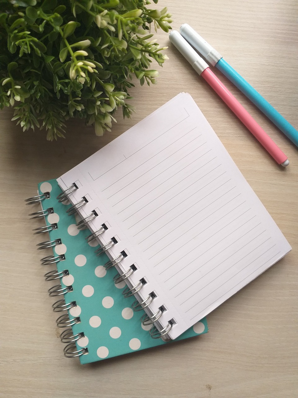 notebook, desk, office, nature, writing, mockup, work station, table, pen, planner, paper, office supplies, plant, deco